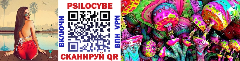 Купить где  Куртамыш  Псилоцибиновые грибы MAGIC MUSHROOMS 